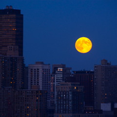 Bad Moon Rising  / Creedence Clearwater Revival