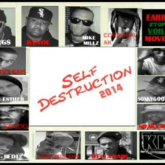 Self Destruction 2014