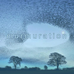 Murmuration