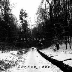 Tenebres - She Used To Hold My Hand ( Winter Love Album Version )