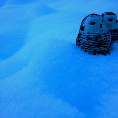 Marvelous Proposition 16bit mastered