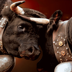 Das Highlight an diesem Wochende. Sont war nix los.