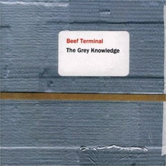 Beef Terminal - The Grey Knowledge