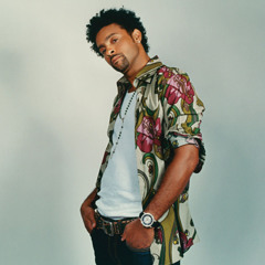 Shaggy - Mr. Boombastic