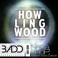 NaDaDrop - Wood Party (Sovnger On Acid Remix) PREVIEW