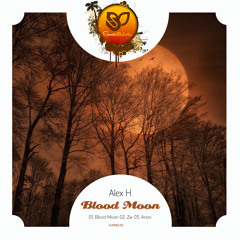 Alex H - Zw (Original Mix) [SUNMEL012] OUT NOW!