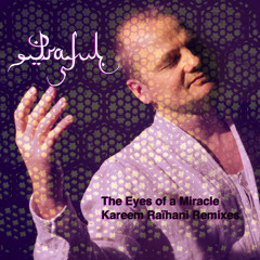 The Eyes Of A Miracle - Kareem Raihani Remix