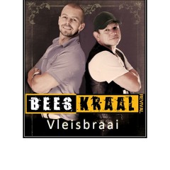 Vleisbraai