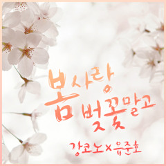 강코노X유준호 - 봄 사랑 벚꽃말고