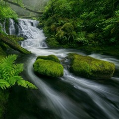 Sounds from Nature