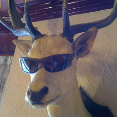 Scooby Doo Neutered!