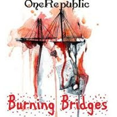 Burning Bridges -( Melisabutar + Shelma guitar cover )