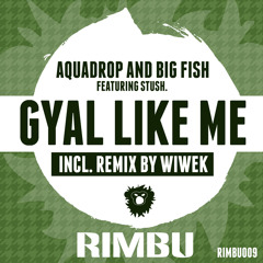 Aquadrop & Big Fish ft Stush - Gyal Like Me (Wiwek Remix) OUT NOW
