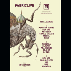 fabric 6 Dec 2013