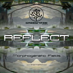 MORPHOGENETIC FIELDS EP reflect 2014 Night Full Of Lonely Souls Sample