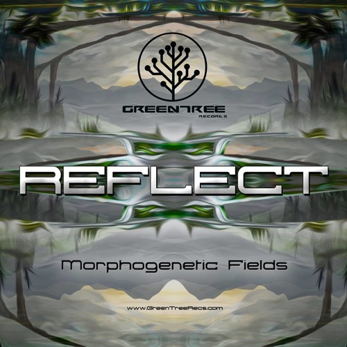 MORPHOGENETIC FIELDS EP reflect 2014 Night Full Of Lonely Souls Sample