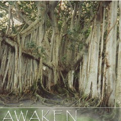 Cry In The Wilderness