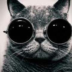 The Persuader (Jesper Dahlbäck) - Fusion Of Thoughts (Pär Grindvik Remix)