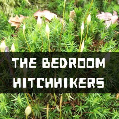 The Bedroom Hitchhikers - The Red Bright Cherry