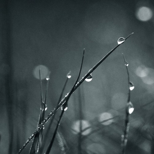 Live at Particulate: Dewtone Label Showcase 2014-05-09