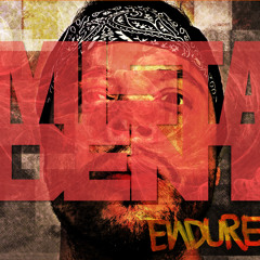 Endure (Extended Cut)