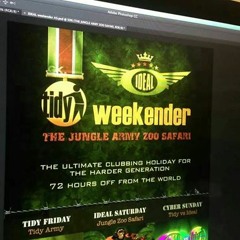 Ideal Tidy Weekender 2014 - Shaun T Live