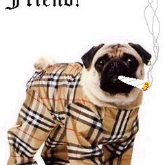 Bryan G Bassman Trigga Spyda Uploaded By Senator