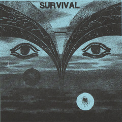 Survival- Civil War