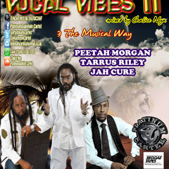 VOCAL VIBES 11 -Jah Cure, Peetah Morgan & Tarrus Riley mixed by Chalice Nya