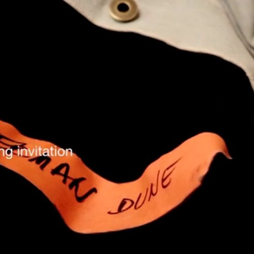 Herman Düne - In The Summertime (Bob Dylan's cover)