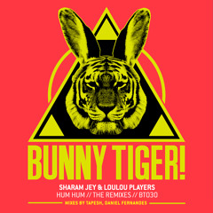 Sharam Jey & Loulou Players- Hum Hum (Tapesh & Daniel Fernandes Remixes) BT030 OUT JUNE 9TH