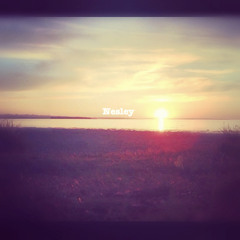 Blinded By The Lights // Free Download