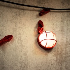 GRIZZLIES LOVE SONGS - Lostinthecountry