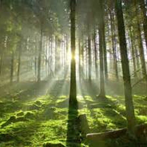 Light in the Dark -- feat. IceRequiem