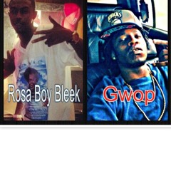 "Amazin" Bleek and Gwop :prod.by vursatal