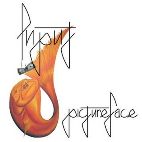 Input - Pictureface