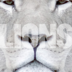 lions