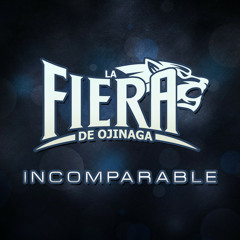 INCOMPARABLE - LA FIERA DE OJINAGA 2014 (ELDJ FUEGO)