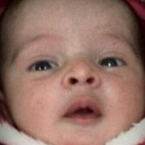 محمد ضياء أ ب ت