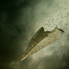 Paper Airplane
