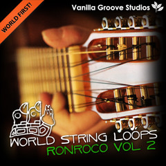 World String Loops - Ronroco Vol 2 - Demo