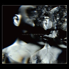 sukekiyo - scars like velvet