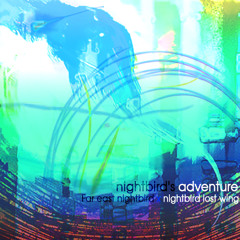 nightbird's adventure (KMN-INU Remix ver.) (Far east nightbird x nightbird lost wing)