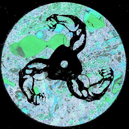 BICEP | CIRCLES