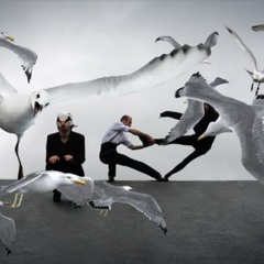 Ovidiu Chihaia si Catalina Antal - Valsul Pescarusului ( Pescarusul. Ultimul Act )