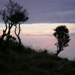 Bayungka - Hujan tanpa bintang