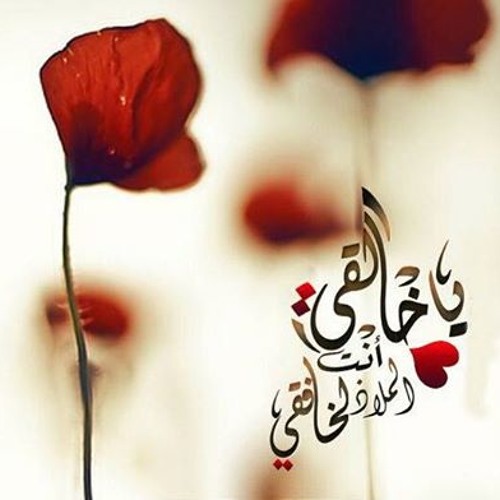 ღ҉ يَ ربّْ ღ