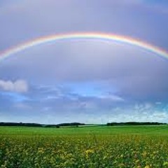 Rainbow Connection (the)