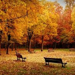 Осень (из к/ф "Служебный Роман")