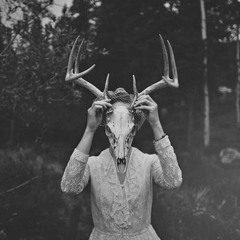 L'enfant de la forêt